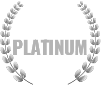 Double Platinum Rally Driving Experience Icon