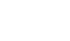 Decorative Christmas Tree Left