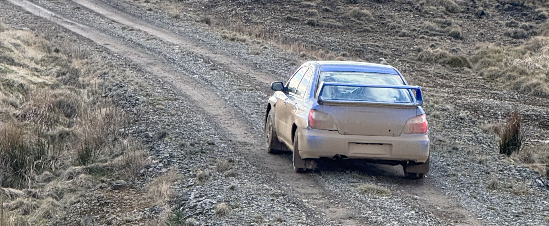 Three-Person Forest Rally Experience