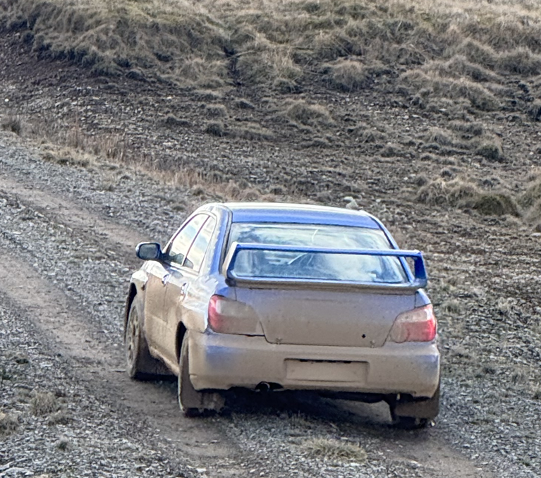 Three-Person Forest Rally Experience